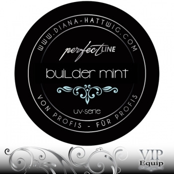 Color Builder Mint