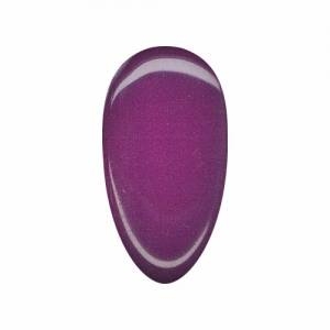 Gel Color Plum