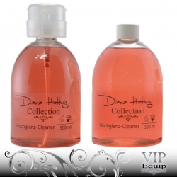 Hochglanz Cleaner 500ml